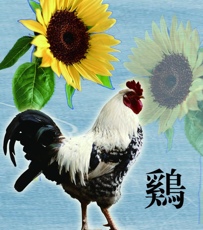 十二生肖图片(1992X2386(DPI:200))psd模版下载