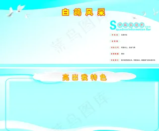 白鸽风采展板图片