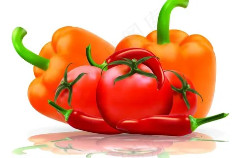 矢量蔬菜素材图片 矢量蔬菜素材图片