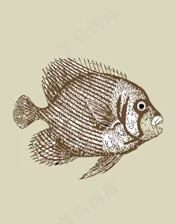 手绘简笔插画鱼 手绘简笔插画鱼