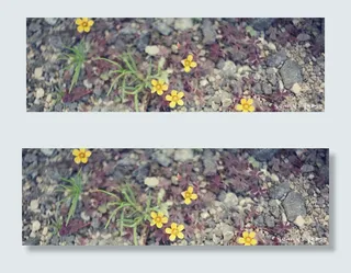 25张淘宝小清新海报背景图片