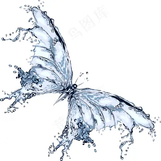 蝴蝶状水花图片 蝴蝶状水花图片