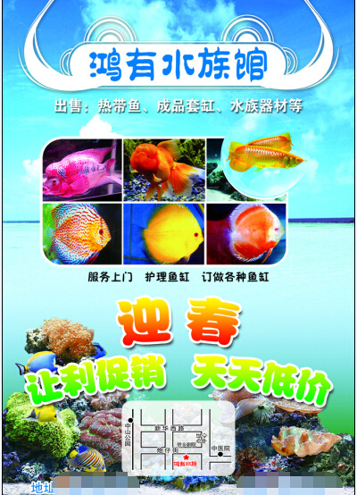 水族馆DM单