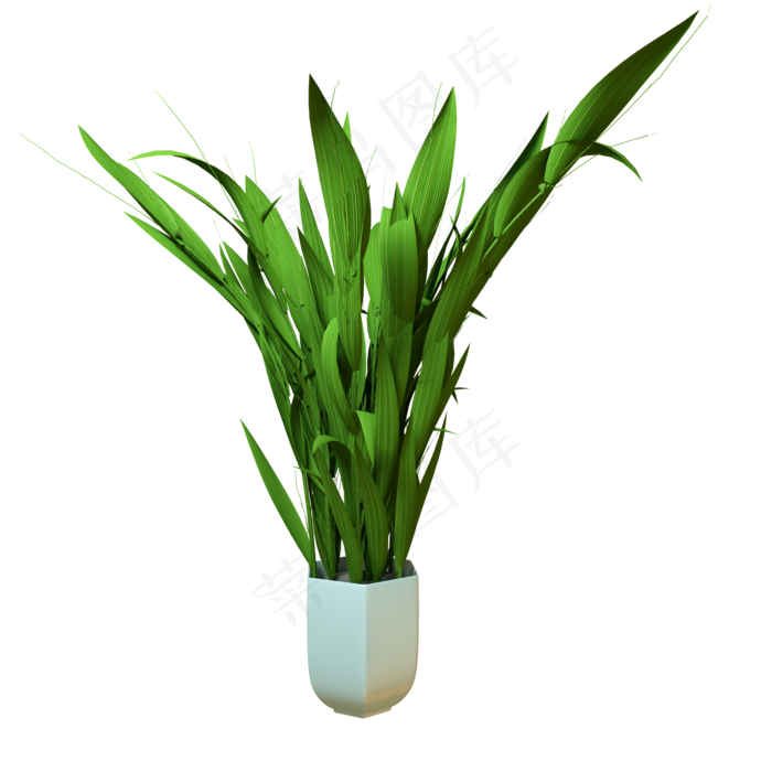 楔叶类绿植盆栽C4D楔叶类绿植盆栽C4D