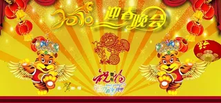 2010迎春晚会图片