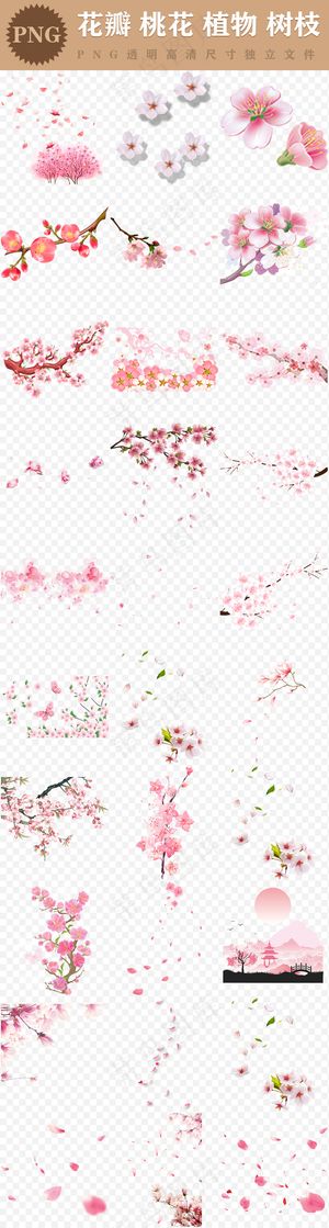 浪漫粉红色桃花梅花樱花花朵图片PN...