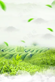 绿色茶园海报背景 绿色茶园海报背景