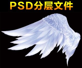 天使翅膀素材免扣大图分层