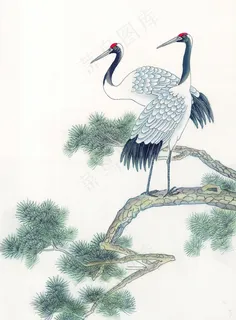 仙鹤 仙鹤