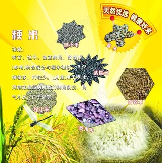 稻米图片