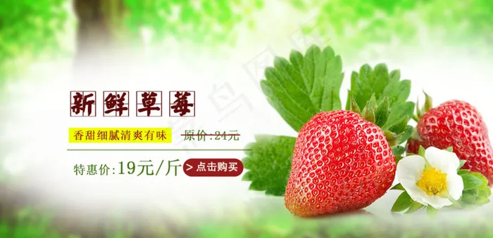 草莓图片psd模版下载