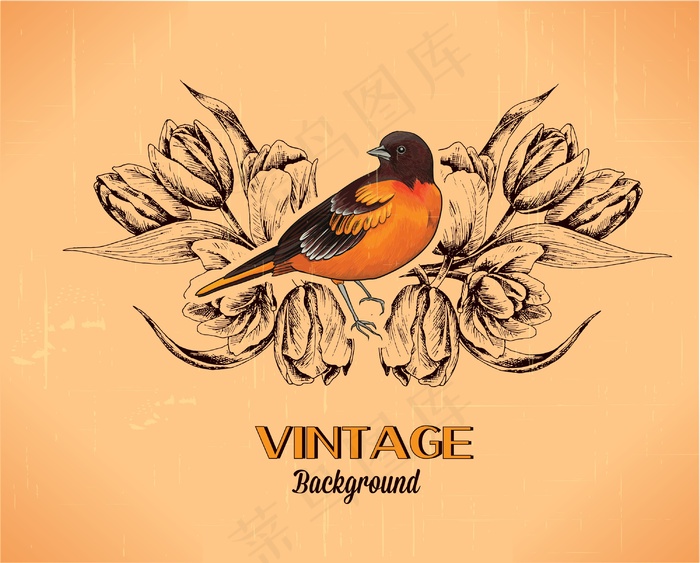 随着春天的花鸟旧货矢量插画