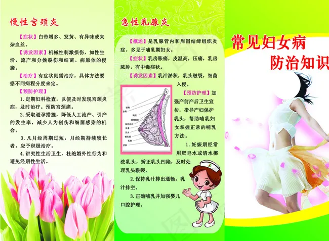 常见妇女病预防知识三折页图片psd模版下载