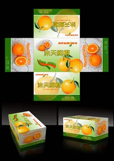 新鲜橙子包装纸箱设计psd素材