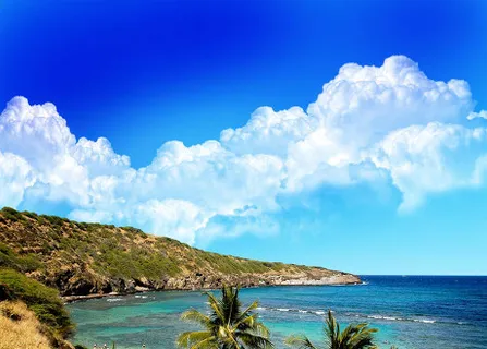 psd分层设计模板风景