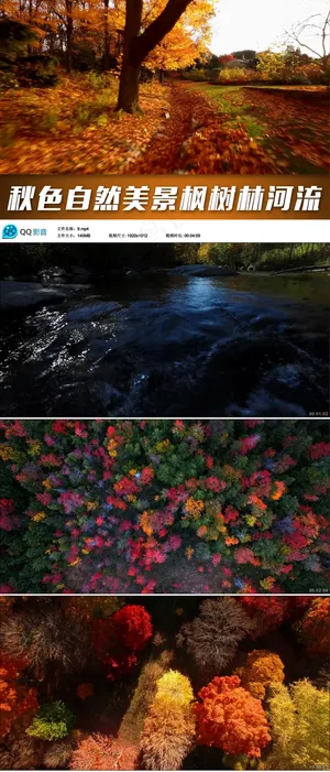 秋色自然美景枫树林小溪河流航拍视频...