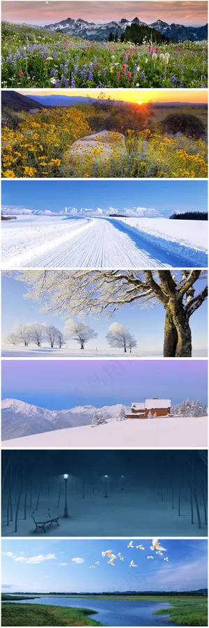 冬天风景
