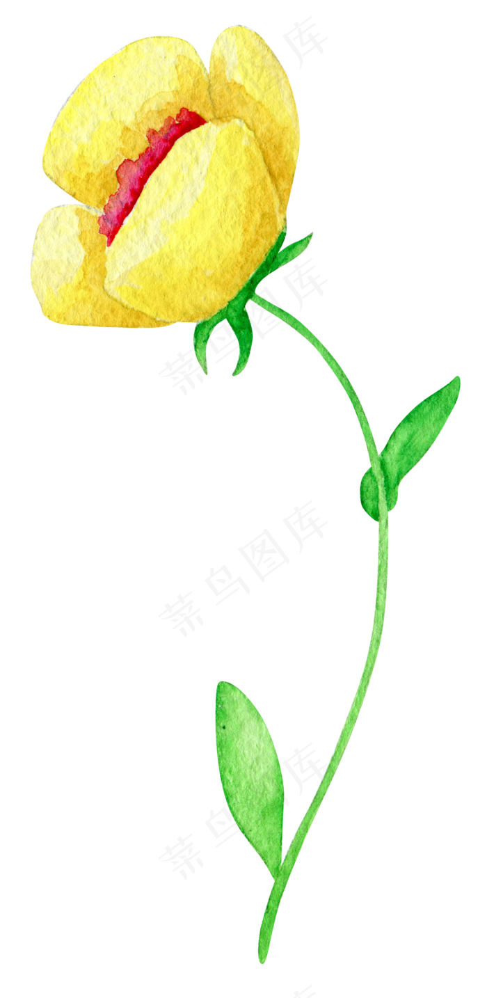 唯美手绘水彩花朵自行车花篮婚礼PN...