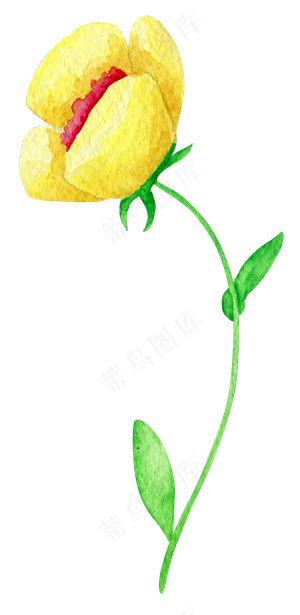 唯美手绘水彩花朵自行车花篮婚礼PN...