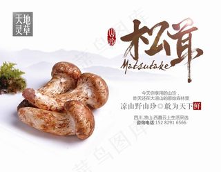 水墨淡雅松茸宣传海报
