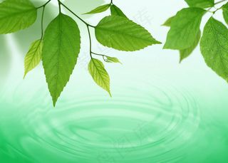 湖水波纹树叶组合背景