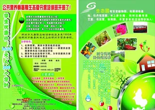 夏令营培训班宣传页