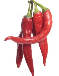 朝天椒高清摄影图片