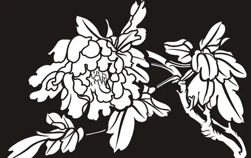 牡丹 黑白图
