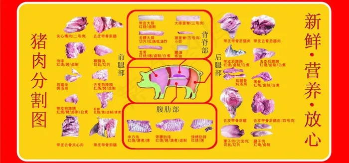 猪肉分割图图片cdr矢量模版下载