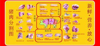 猪肉分割图图片