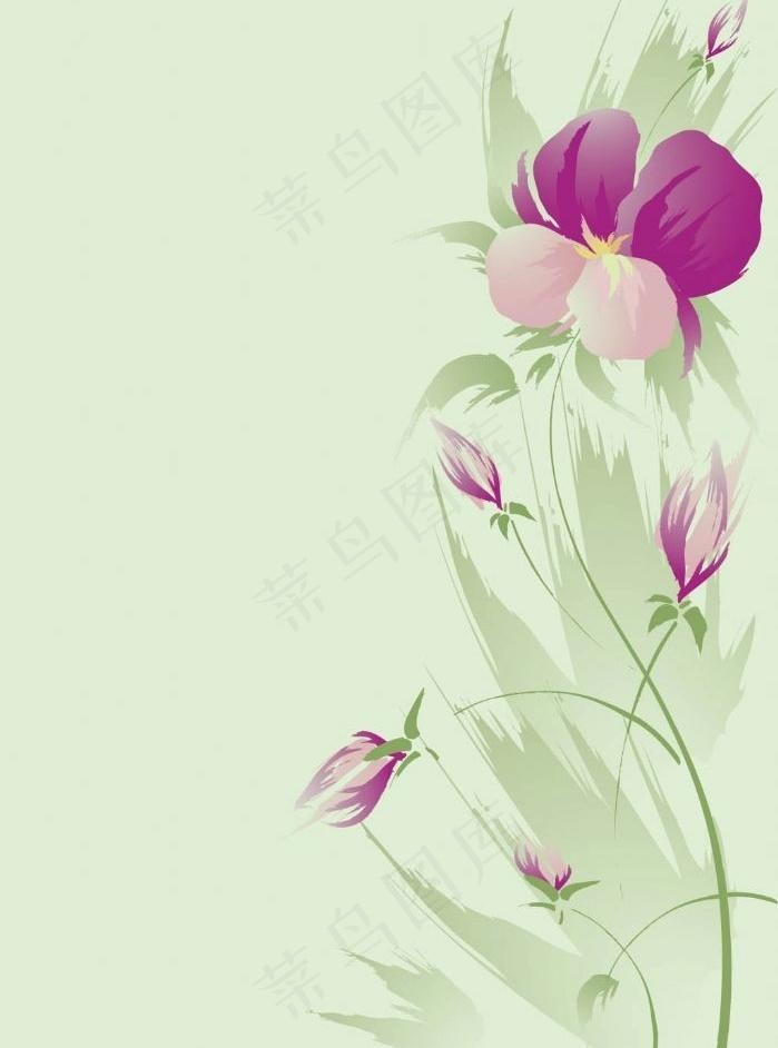 花卉相框图片eps,ai矢量模版下载