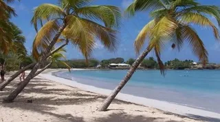 马提尼克岛海滩图片