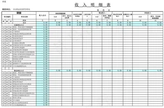 药监收入明细表