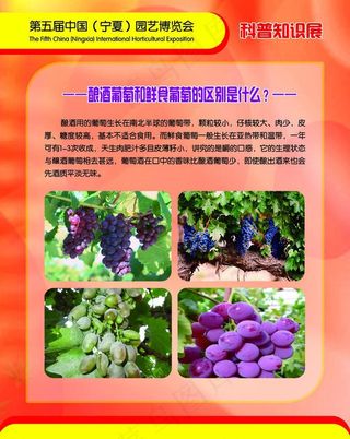 农业健康知识展板图片