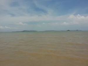 厦门椰风寨图片