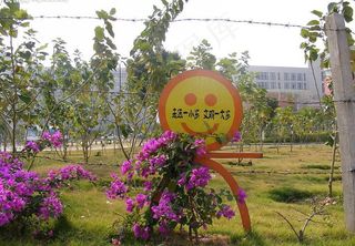 请爱护花草图片