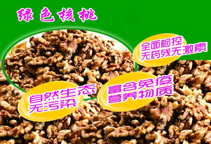 核桃图片cdr矢量模版下载