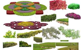 园林景观花草树林鸟瞰透视效果图ps...