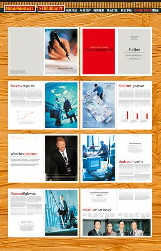 商务商业人物团队画册宣传册