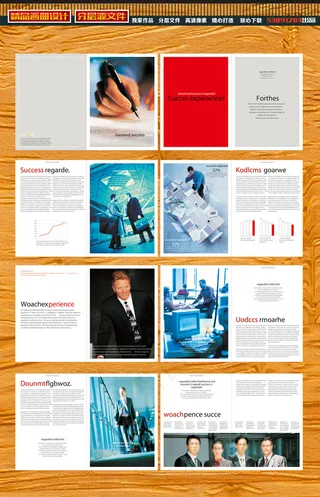 商务商业人物团队画册宣传册