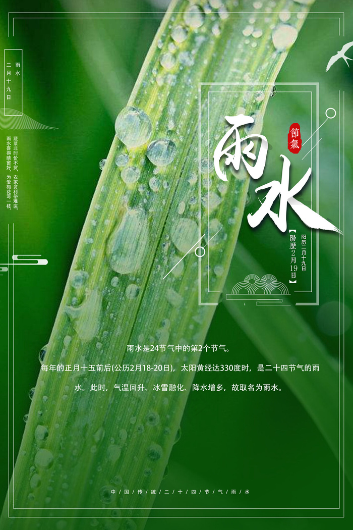 雨水二十四节气清新海报psd