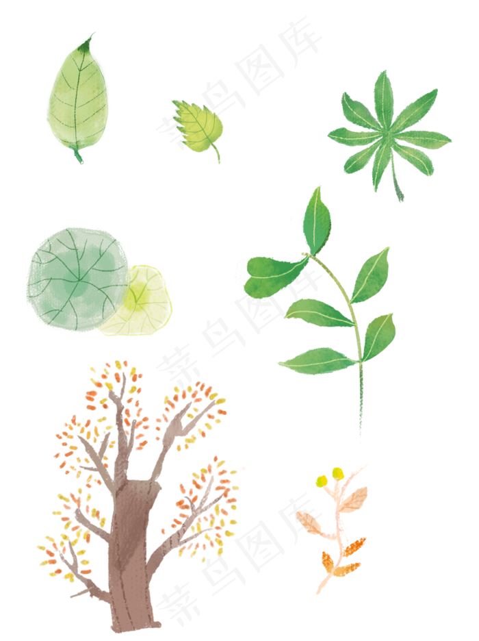 植物秋叶子手绘插画元素