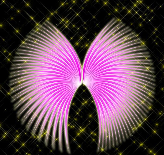 翅膀图片(3543X3543(DPI:300))psd模版下载