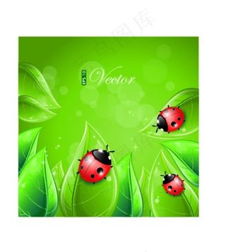 水晶叶子上的瓢虫