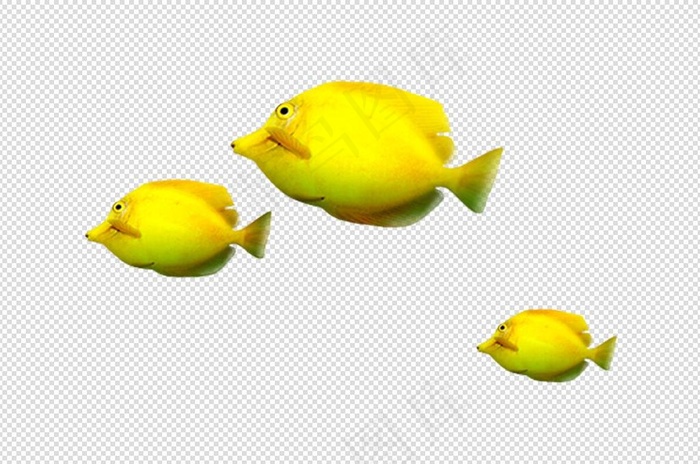 卡通手绘插画黄色热带鱼免扣PNG素...