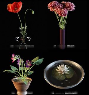 高精度盆栽鲜花3d模型下载