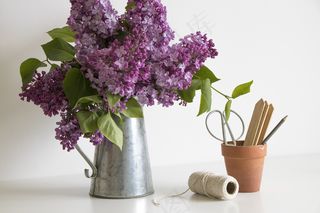 简约小清新文艺风插花静物摆拍背景