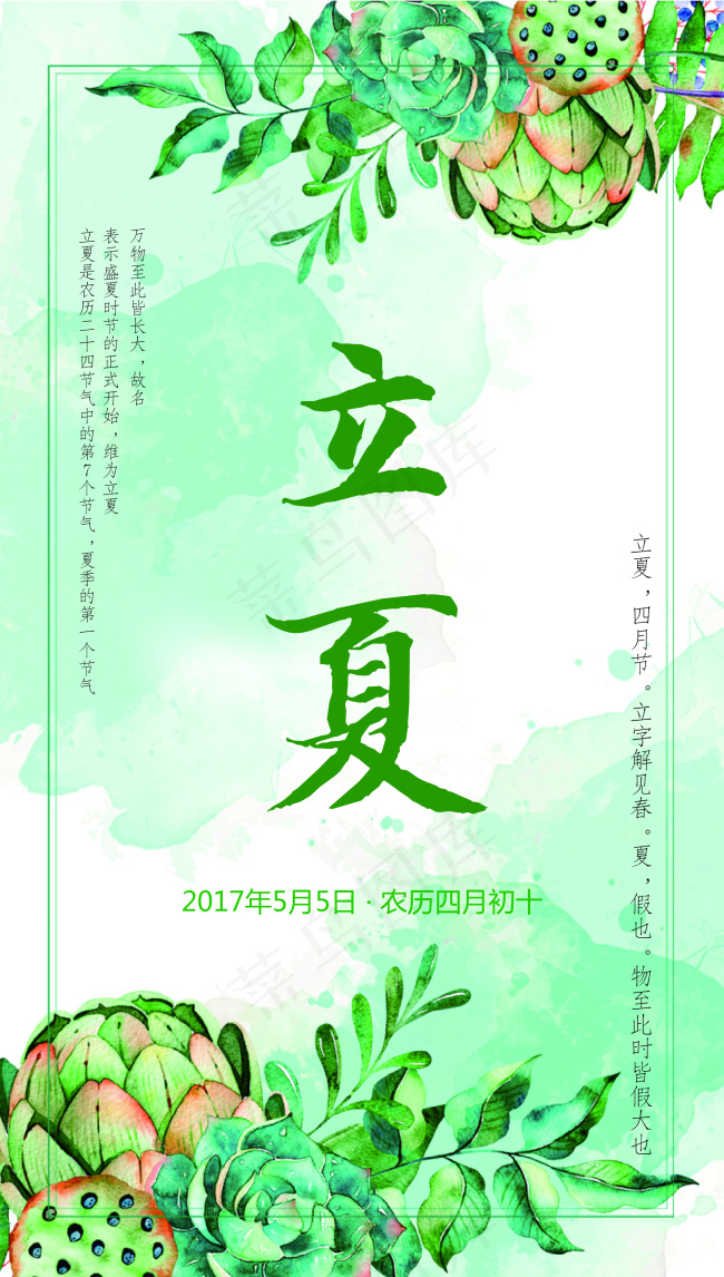 立夏海报ai矢量模版下载