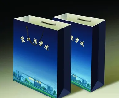 兰州商学院 手提袋图片