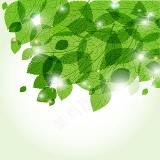 矢量素材春天绿色树叶枝条